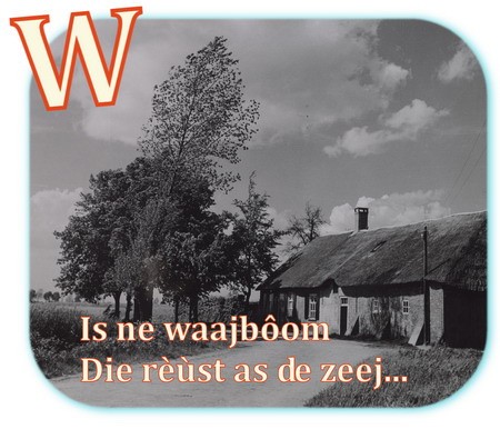 W
