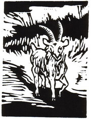 bok