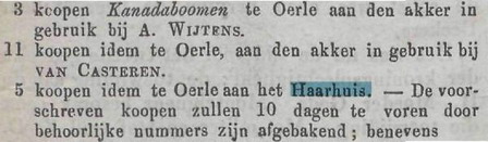 haorstielist