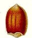 haozevraoge