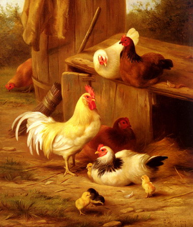 kiepeboer