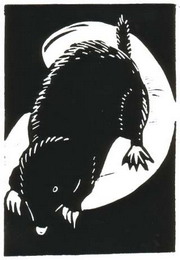 mölleke