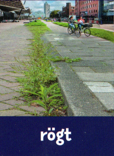 ròg