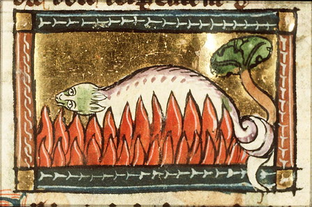 salluu