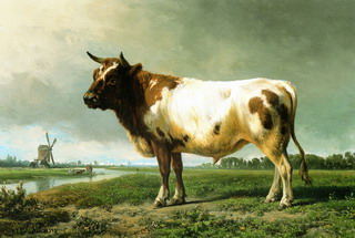 stier