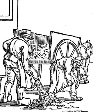 straotveeger