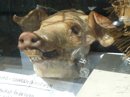 vèèrekeslomp